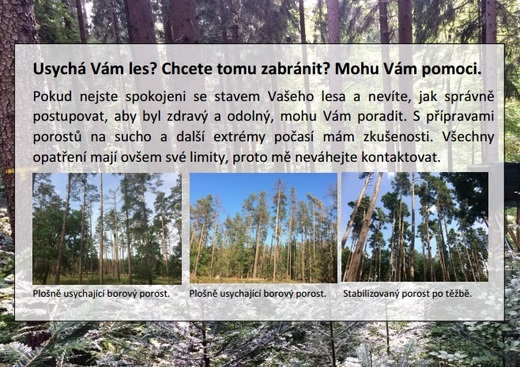 reklama