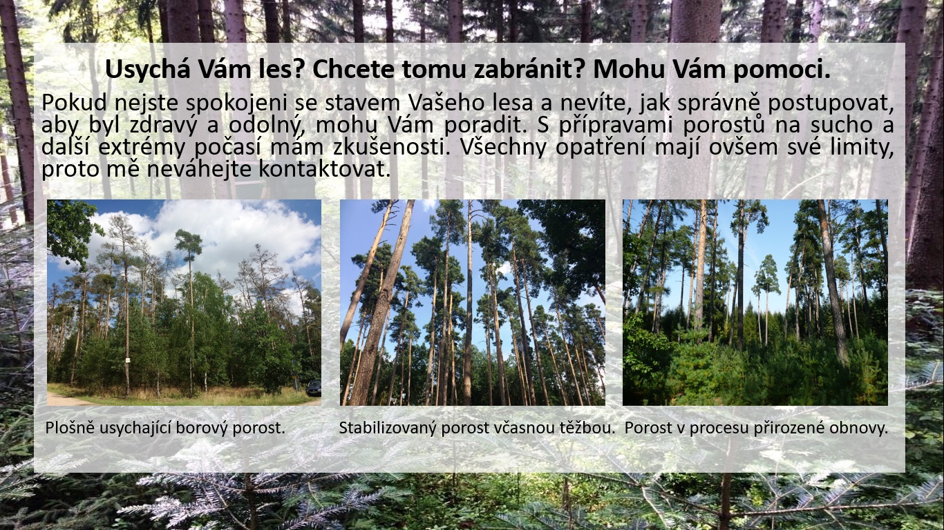 reklama_web