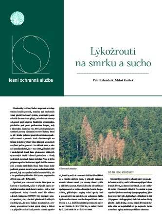 Nový obrázek (1).jpg