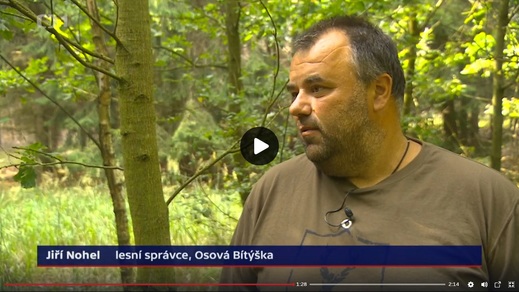 Nový obrázek (2).jpg