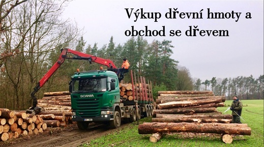 Obchod se dřevem.jpg