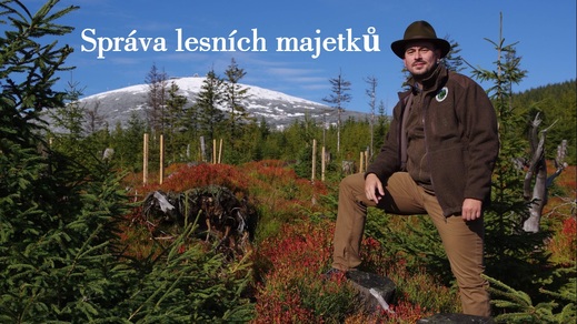 Správa lesních majetků.jpg